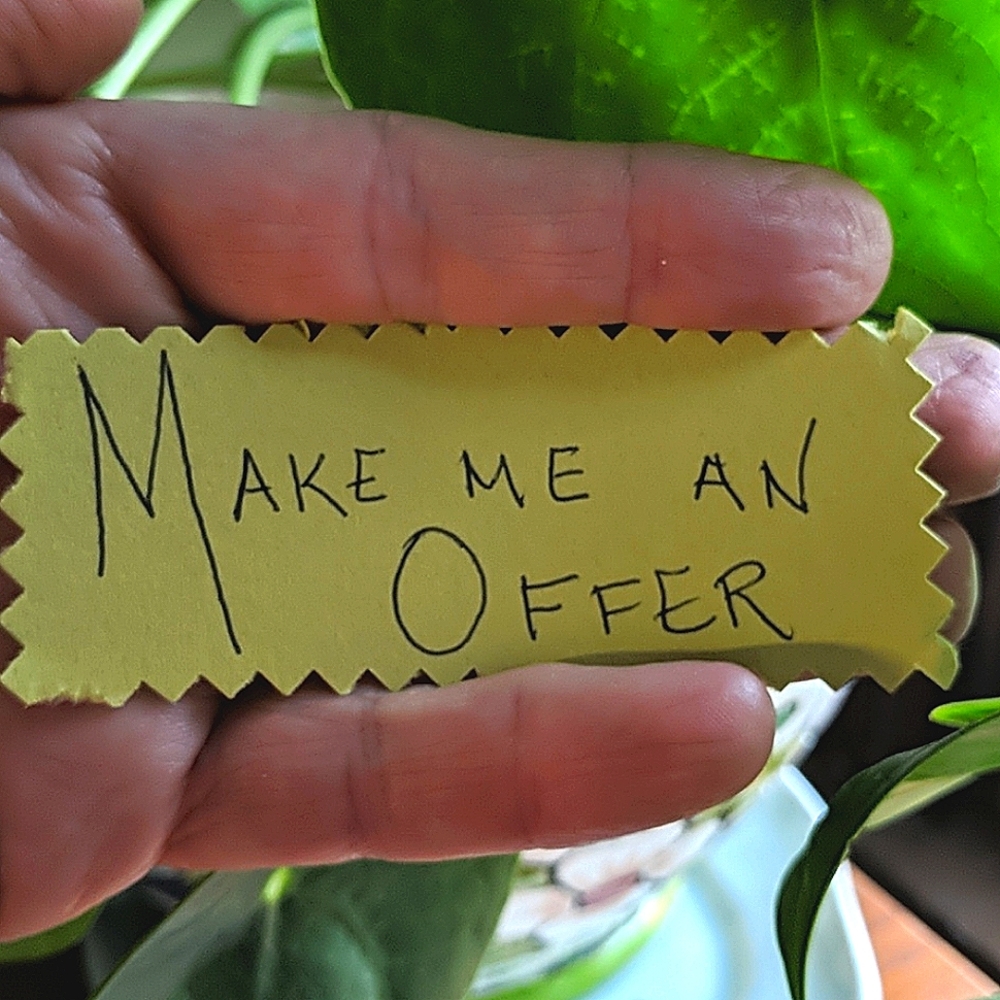 Offers will be gladly entertained!